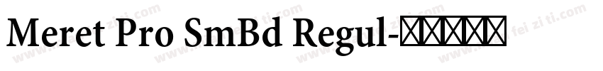 Meret Pro SmBd Regul字体转换